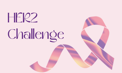 her2 challenge