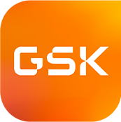 gsk.png (14 KB)